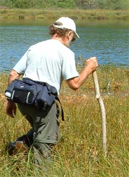 hiking - nova scotia bog lakes