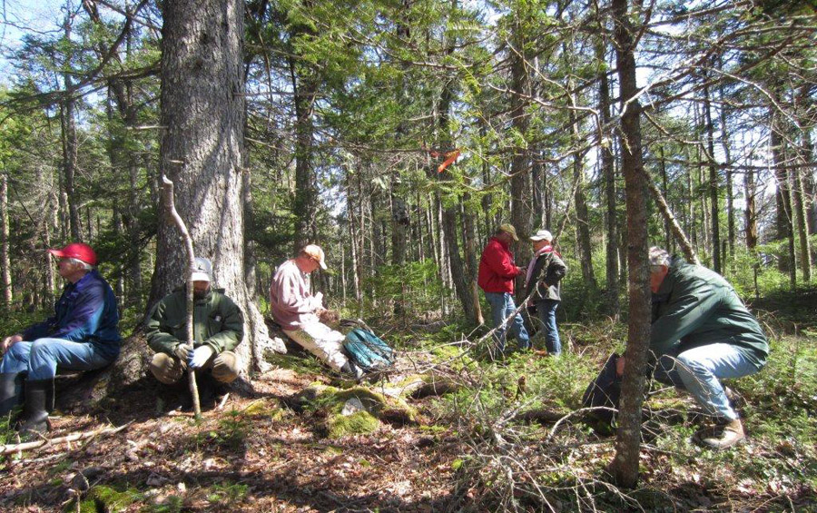 rest from bushwhacking