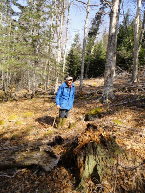 rudy haase forest protector