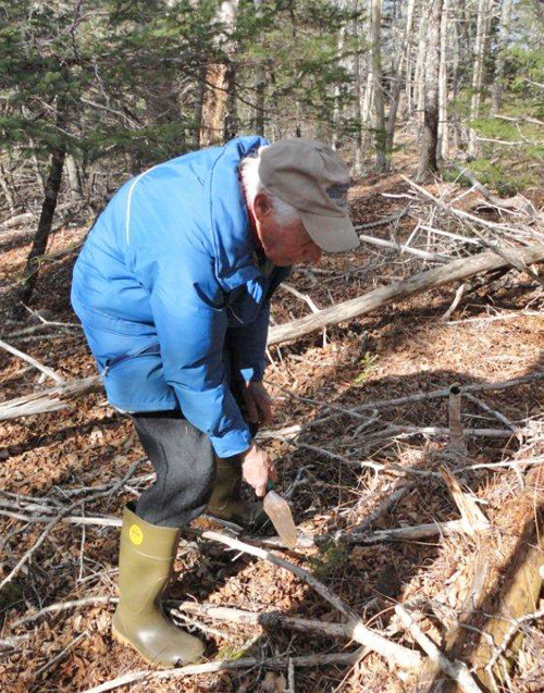 rudy haase plants seedling