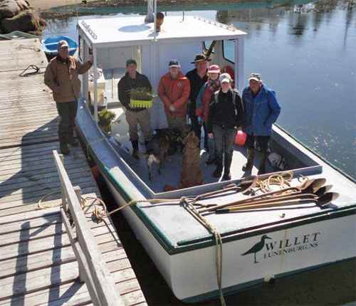 volunteers head out to plant trees