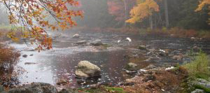 holden, nova scotia
