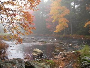 holden lake