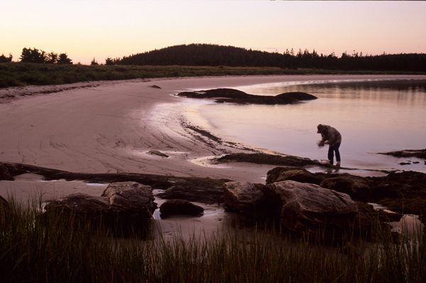 shelter cove