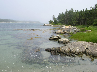 clear waters by the shore