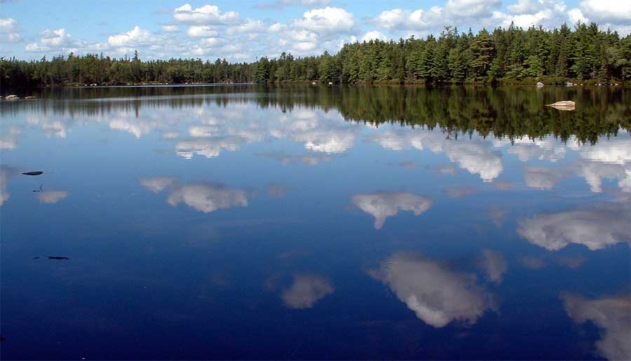 Bog Lake Nova Scotia
