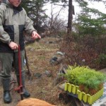 Conservation Campaigns: 2012 Clay Island tree planting - Nova Scotia