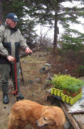 Conservation Campaigns: 2012 Clay Island tree planting - Nova Scotia