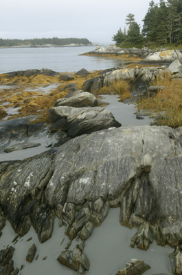 Shelter Cove by Jeff Amos, Nova Scotia Nature Trust